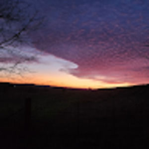 Meet your Posher, Waylon